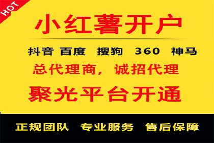 信息流广告投放公司案例对比分析